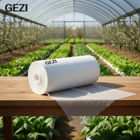 Serre surélevée en plastique HDPE, filet anti-insectes en polyester, couverture de protection, sac de protection, blanc, vert, 90 g/m², 50x25