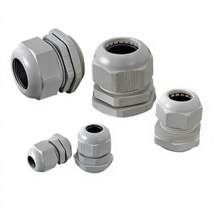 Glande en PVC PG - Product Image 1