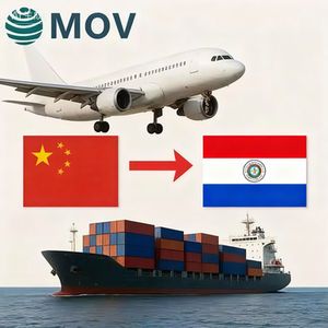 Экспресс DDP из Китая в Парагуай от двери до двери 7 - 14 дней Amazon FBA & трансграничная электронная коммерция готова - Product Image 1