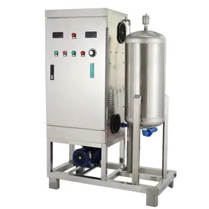 BSOG 10g/h Water Treatment Ozonated Water Machine For Drinking Water