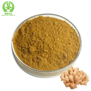 Gừng chiết xuất từ rễ bột 10:1 gingerol