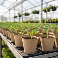 Pots en pulpe de papier écologiques, conteneurs pour semis biodégradables pour le jardinage à domicile et l'utilisation commerciale