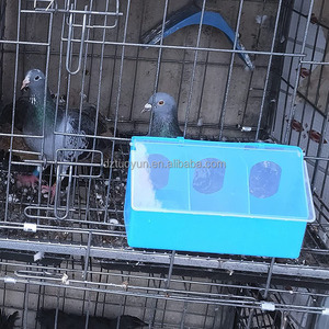 Tuoyun nhà máy bán hàng trực tiếp feeders và người uống 1 năm <span class=keywords><strong>Pigeon</strong></span> ăn khay kim loại Bird Feeder - Product Image 6