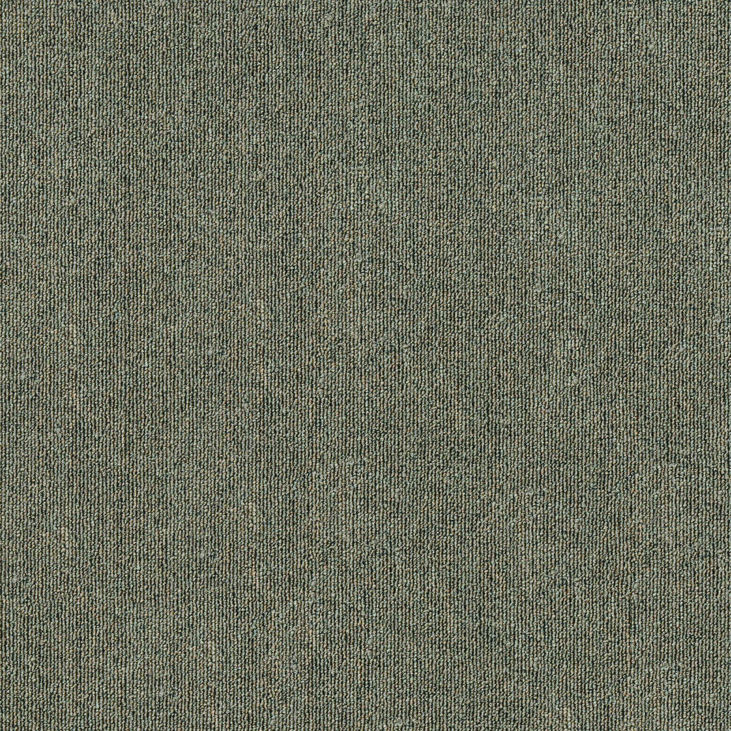 MDL06