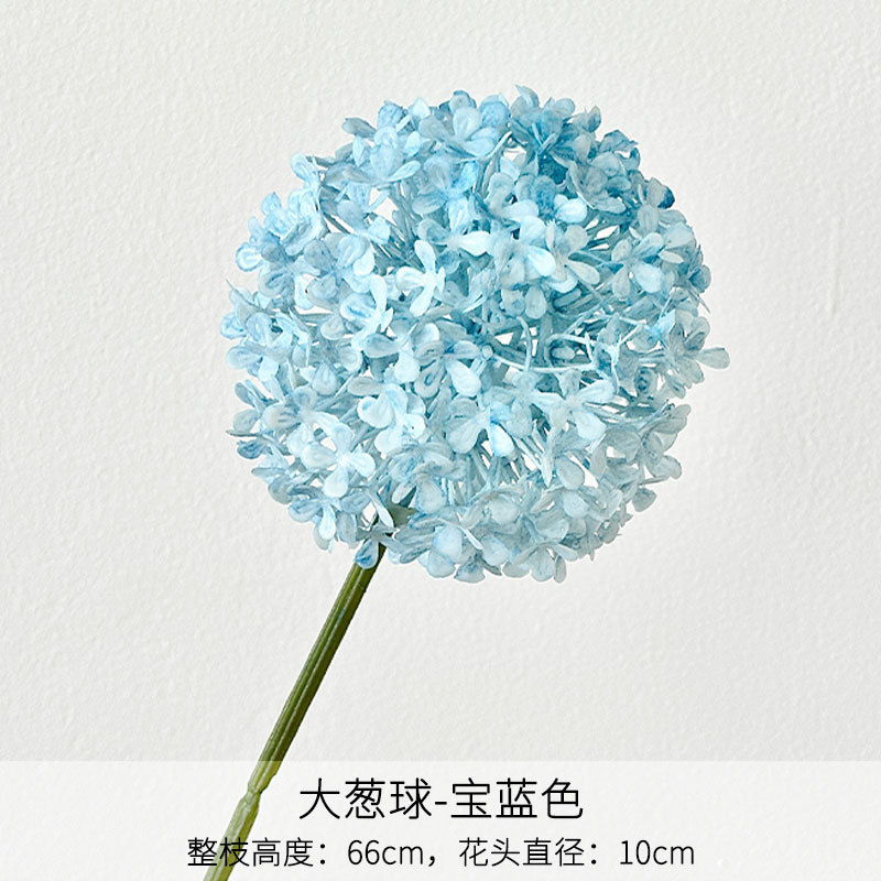 Palline di cipolla verde blu