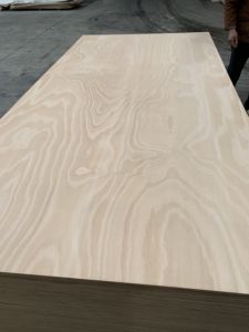 Arserwood 3/4 pollici. X 4 piedi x 8 piedi. - Product Image 2