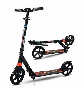 Chute scooters, scooters pé