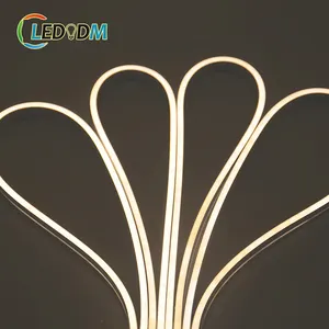 Lampe Flexible en Silicone pour décorations extérieures, néon rvb smd3838 120LED/m DC 24V rvb vente en gros bande LED néon rvb