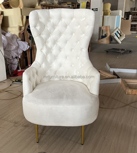 Ghế phòng khách sang trọng, chất liệu nhung, lưng cao, kiểu dáng hiện đại, khuyến mãi nóng dành cho nhà ở và khách sạn - Product Image 2