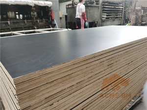 Plaque De gaufrage bouchon/1220x2440mm 1250x2500mm Utilisation Pour Le battage De Construction - Product Image 6