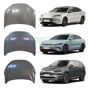 GANGZHENG OEM/ODM Manufacturer Car Steel Engine Hoods Cover For AVATAR 11 AVATAR 12 China Brand Auto Parts