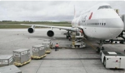 Глобальный Экспресс-сервис воздушного транспорта в аэропорт - Product Image 4