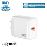 Chargeur mural rapide USB Type-C GaN PPS 33W PD 30W 20W QC18W avec protection OTP pour 11/12/13/14/15 Pro Max