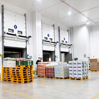 Bâtiment de stockage frigorifique de 5000 mètres carrés et chambre froide pour projet d'abattoir avec système de réfrigération et surveillance à distance