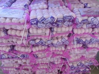 Gecertificeerde OPTIMUM merk China Shandong verse witte knoflook exporteurs voor de wereldmarkt, hoge kwaliteit groothandelsprijs