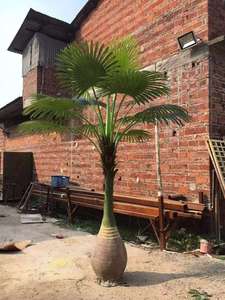 Giá rẻ Giá bán lớn trong nhà và ngoài trời trang trí cây Cọ nhựa cây dừa nhân tạo - Product Image 3