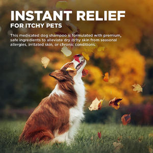 Champú <span class=keywords><strong>para</strong></span> Mascotas Touchpaw, Fórmula Herbal, Sin Parabenos, Control de <span class=keywords><strong>Pulgas</strong></span> <span class=keywords><strong>y</strong></span> <span class=keywords><strong>Garrapatas</strong></span>, Fragancia Duradera, Limpieza Profunda <span class=keywords><strong>para</strong></span> Perros - Product Image 5