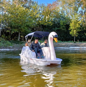 Bateau à pédales d'<span class=keywords><strong>occasion</strong></span> <span class=keywords><strong>4</strong></span> <span class=keywords><strong>places</strong></span> en forme de canard/cygne pour parc aquatique extérieur, en plastique LLDPE, bateau électrique flamant rose, bateau tamponneur de loisirs, vélo aquatique - Product Image 2