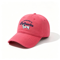 Casquette de baseball coréenne rétro brodée motif chien mignon, visière souple unisexe amincissante pour le visage, idéale pour le printemps et l'été, usage décontracté