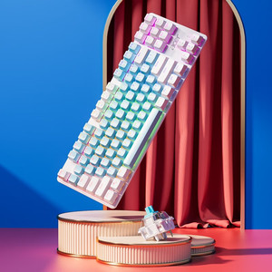 <span class=keywords><strong>Clavier</strong></span> de jeu personnalisé 87 touches avec fil et sans fil RVB rétroéclairé pour PC Opération arc-en-ciel standard mécanique bon marché - Product Image 2