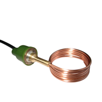 Pressostat capillaire en laiton de 2,4 mm de diamètre pour chaudières, pompes à eau, compresseurs d'air, indice de protection IP65, haute précision, personnalisable