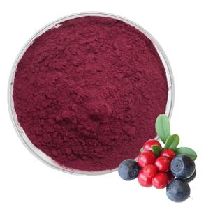 Bubuk <span class=keywords><strong>Bilberry</strong></span> organik segar pabrik jus panas jumlah rendah non-aditif bubuk jus alami - Product Image 2