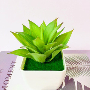 Plante succulente artificielle Qi Xing 15 cm en PVC souple, décoration d'intérieur, plante en pot, ornement végétal - Product Image 4