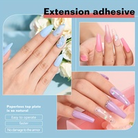 Kit d'extension d'ongles professionnel Poly Gel OEM sous marque privée, ensemble de démarrage complet avec lampe UV LED, capsules et outils pour la vente en gros