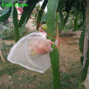 Sacs d'<span class=keywords><strong>arbre</strong></span> de protection de fruits anti-insectes, sac de filet de <span class=keywords><strong>fruit</strong></span> du <span class=keywords><strong>dragon</strong></span> à vendre - Product Image 1