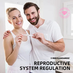 Polvo de folato de fábrica OEM para adultos Suplemento de inositol Premium Polvo de folato Suplemento de vitamina <span class=keywords><strong>D</strong></span> Suplemento de inositol Premium - Product Image 5