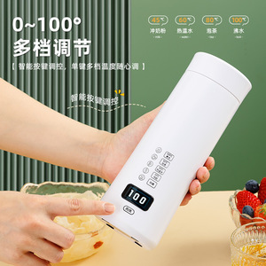 Portable Electric Thermos Cup 316 Stainless Steel Temperature Control Rechargeable Outdoor Travel Water Boiler - Product Image 2