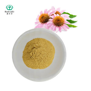 निः शुल्क नमूना इचिनेसिया प्यूरिया 5% प्राकृतिक सिचोरिक एसिड पाउडर सबसे अच्छी कीमत - Product Image 3