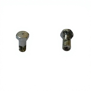 Vis OEM 1463456344 pour pompe à injection de carburant TATA 1618 2518 713 613, vis pour moteur 697 497 5675 CC, pièces de camion - Product Image 1