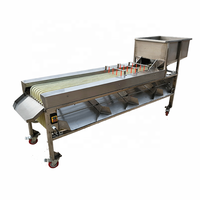 Machine de triage automatique, pour faire des lignes de fruits, couleur Olive, orange, raisin
