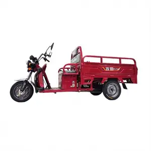 Cheap Three Wheel Cargo Manufacturer Frame Cargobike Kit Free Shipping Two Seat Motorcycle Disabled Battery Motorized Tricycle