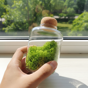 7*11cm <strong>Small</strong> Modern Transparent Hydroponic Borosilicate Glass Tabletop Vases with Cork Lid for Home Wedding Christmas - Product Image 4