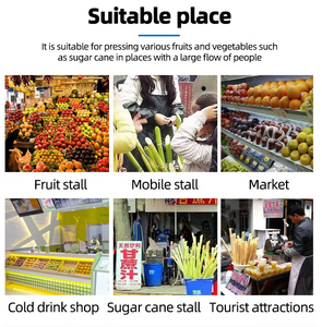 Máquina Comercial de Acero Inoxidable para Exprimir Caña de Azúcar, Separador de Jugo y Residuos, Prensa Manual para Caña de Azúcar - Product Image 4