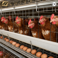 Cage à poules pondeuses de type A résistante à la corrosion pour élevage avicole et poulets de chair