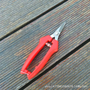 Sécateur à tête droite courte en acier inoxydable rouge 350 mm pour la cueillette des fruits, la réduction de la densité des raisins et des agrumes - Product Image 4