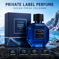 <strong>100ml</strong> Luxury Perfume Custom Perfumes Spray Fragrance Eau De Parfum OEM ODM Low MOQ Gift Set Supplier Factory