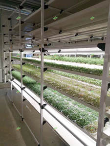 Système de culture hydroponique multi-niveaux en ABS de qualité alimentaire, 3/5/6/7 niveaux, avec pompe, pour la culture de micro-légumes - Product Image 5