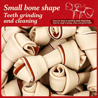 Bâtonnets à mâcher en forme d'os à double couche IFS pour chiens, friandises pour animaux de compagnie, production OEM, vente en gros B2B, fournisseur d'aliments pour animaux