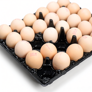 Vassoio Blister in Plastica Nera con Coperchio Separato, Materiale CPET Ecologico per Uova, Bestseller - Product Image 2