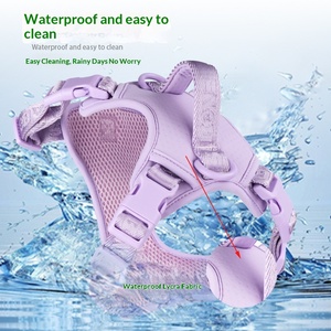 Correa de nailon tipo chaleco para perros, popular, al por mayor, novedad transfronteriza, para entrenamiento divertido y paseo de perros - Product Image 1