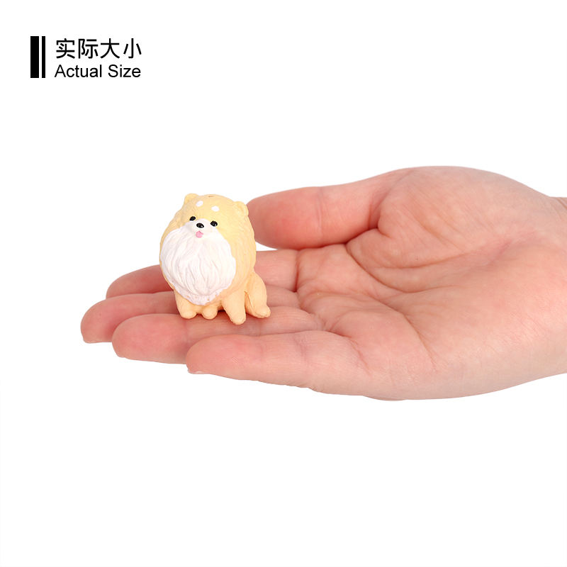 3837 Acting Cute Pomeranian Dog