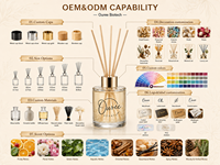 Diffuseur d'arômes haut de gamme sans flamme, grande capacité 200 ml, pour salon et maison, diffusion longue durée, parfum d'ambiance à bâtonnets.