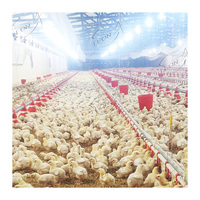 Équipement de machines agricoles d'élevage de poulets en liberté à bas prix utilisé dans les fermes