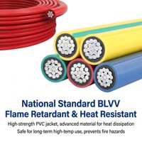 OEM-Fabrik Flammensicheres Elektrokabel für Elektroingenieure BLV BLVV OFA PVC-Hausverdrahtungskabel für Bauarbeiten