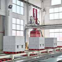 Machine de fabrication de briques AAC entièrement automatique, usine de cendres volantes, ligne de production de blocs de béton cellulaire autoclavé.