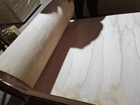 Cadre de chaise en contreplaqué de peuplier courbé CNC, personnalisé, moderne, qualité supérieure E0 sans formaldéhyde, usage commercial, directement de l'usine